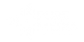 puremedia_logo_site_x2